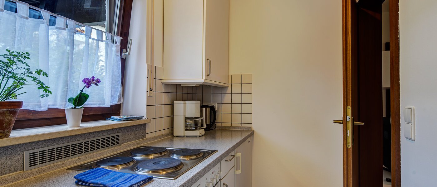 квартира München Harlaching 02 кухня 1155