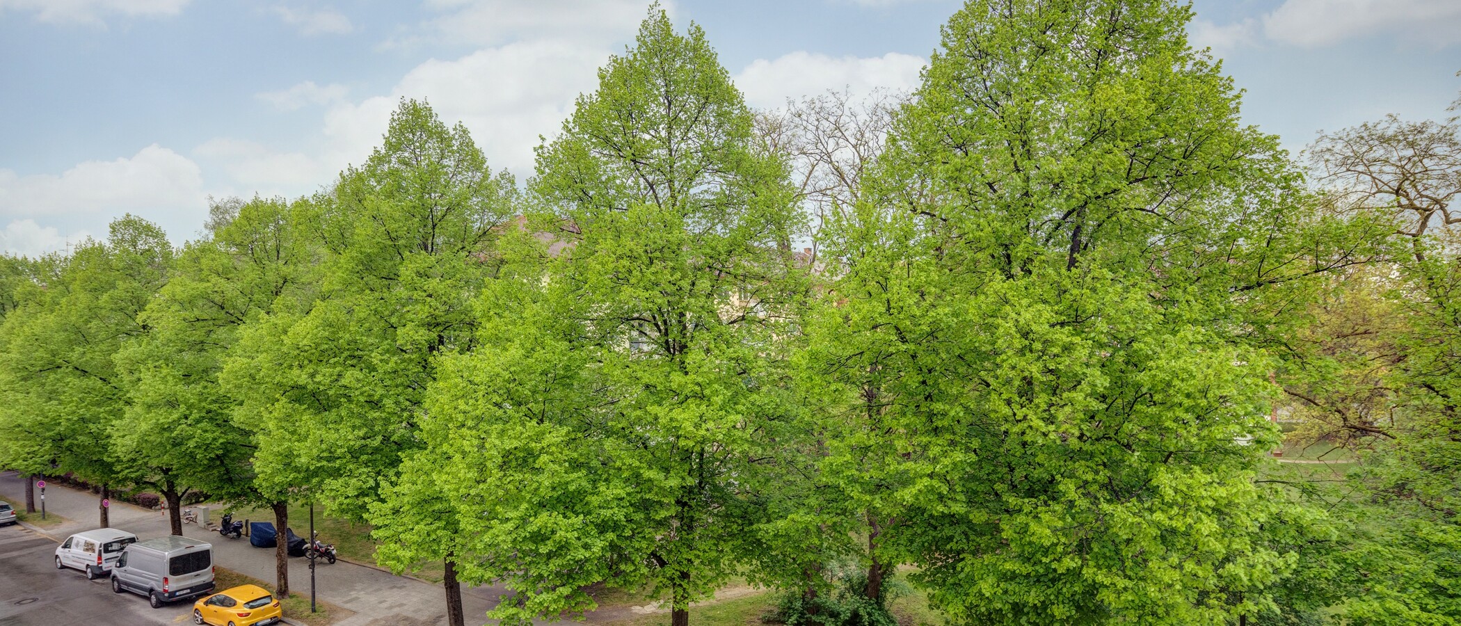 квартира München Milbertshofen 01 вид из окна 11553