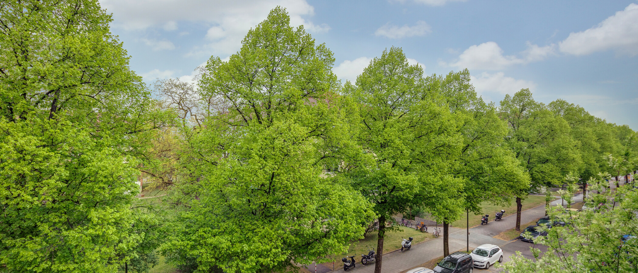 квартира München Milbertshofen 02 вид из окна 11553