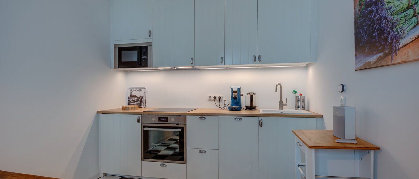 квартира München Maxvorstadt - Universitätsviertel 01 кухня 11567