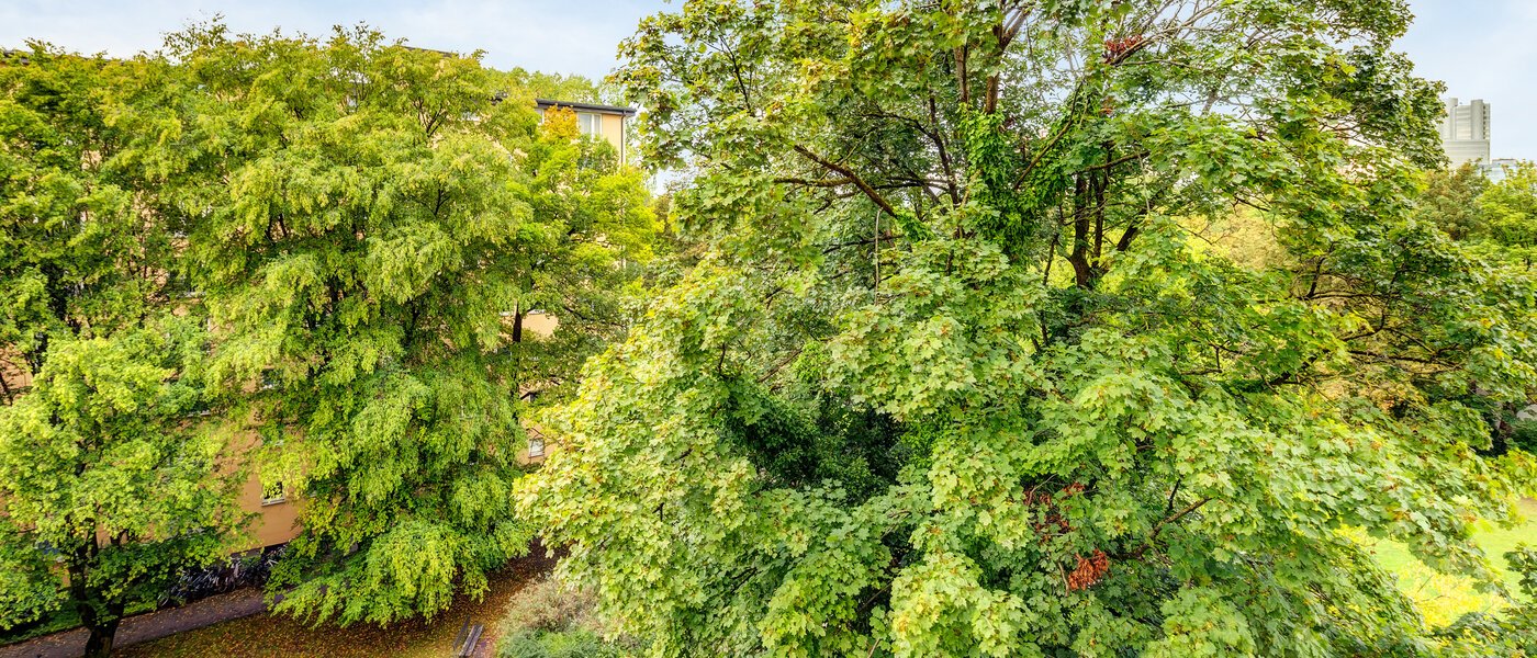 квартира München Parkstadt Bogenhausen 02 вид из окна 1160