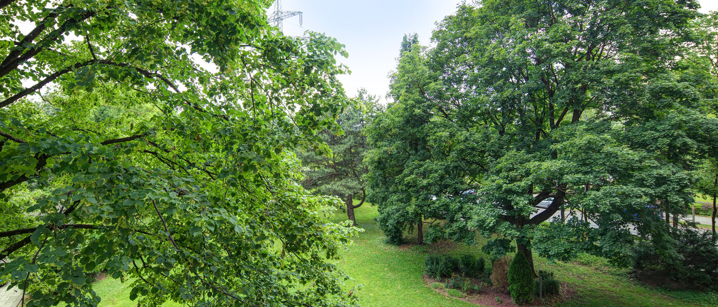 квартира München Aubing 02 вид из окна 11641