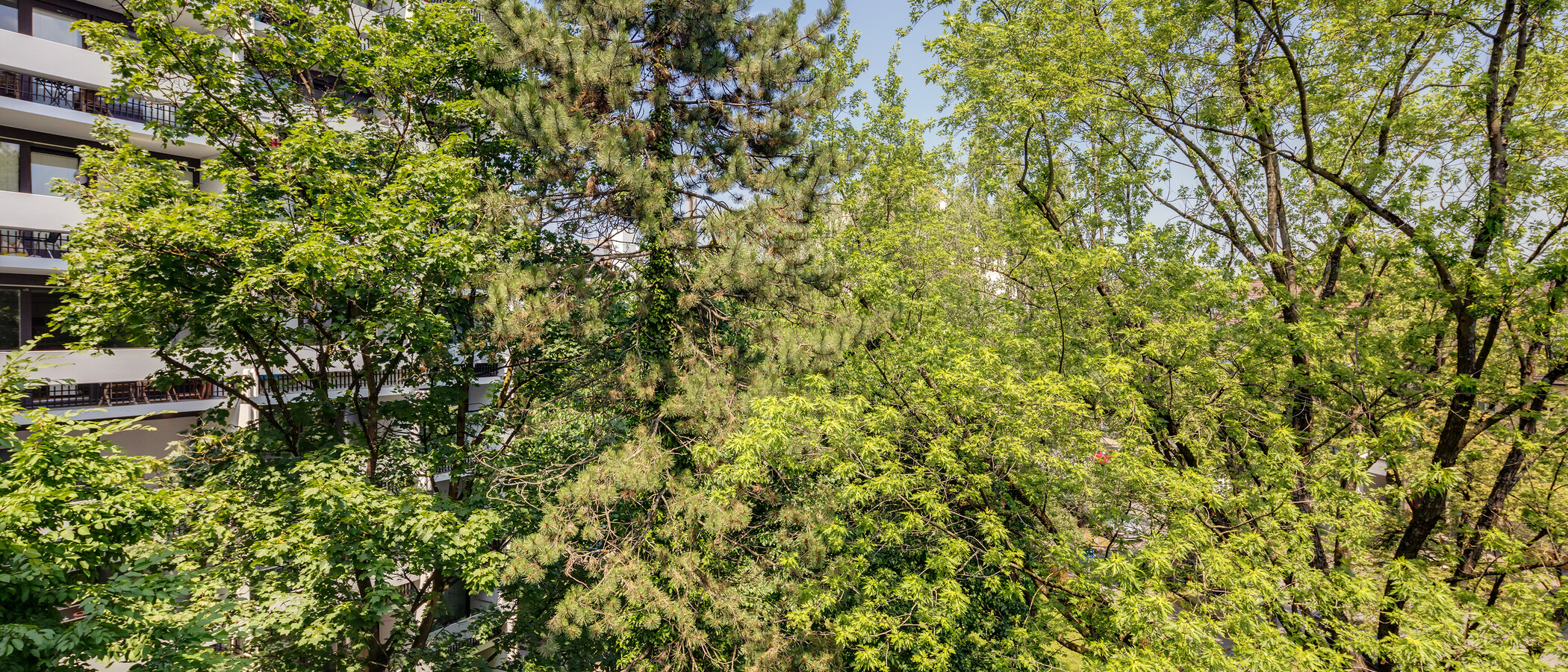 квартира München Milbertshofen 03 вид из окна 11650