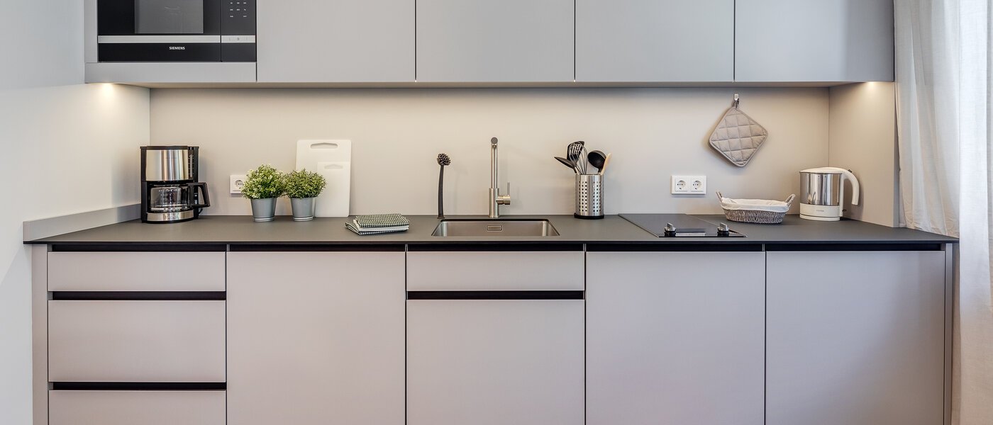 квартира Eching 01 кухня 11663