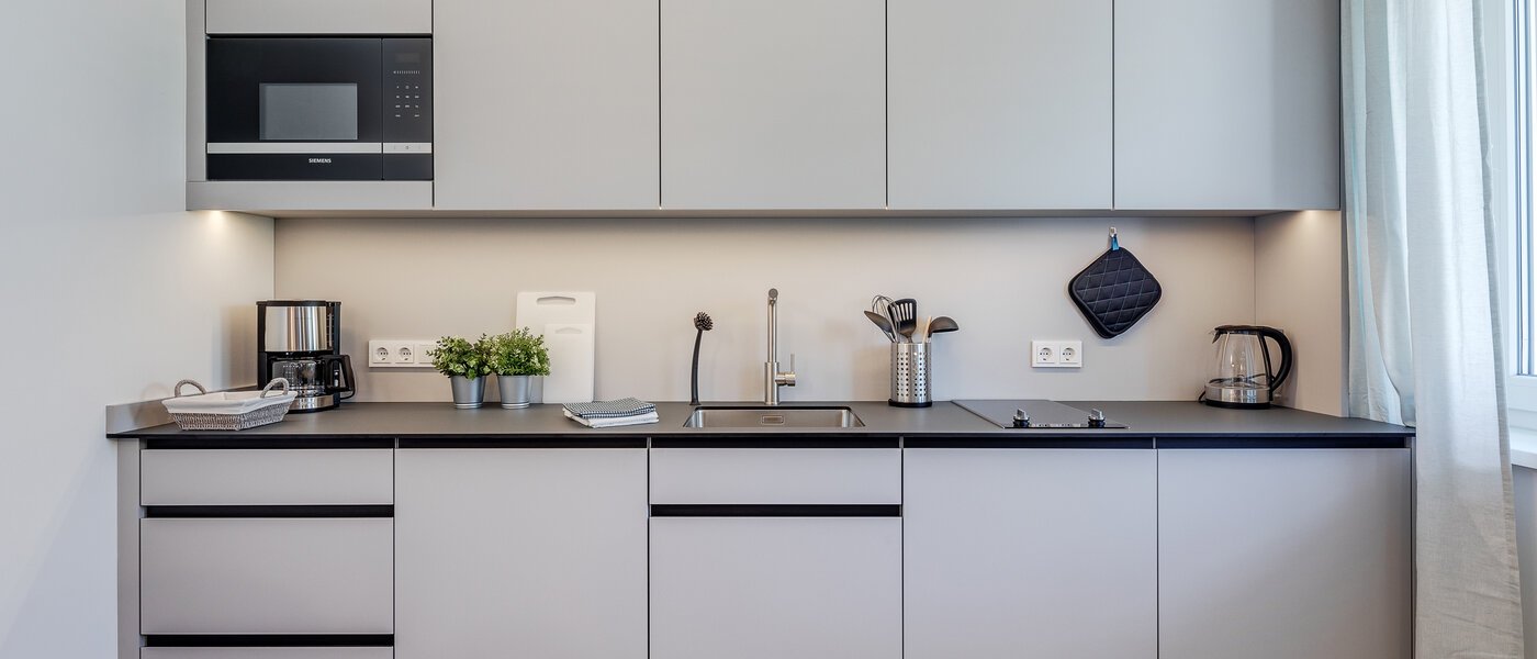 квартира Eching 01 кухня 11665