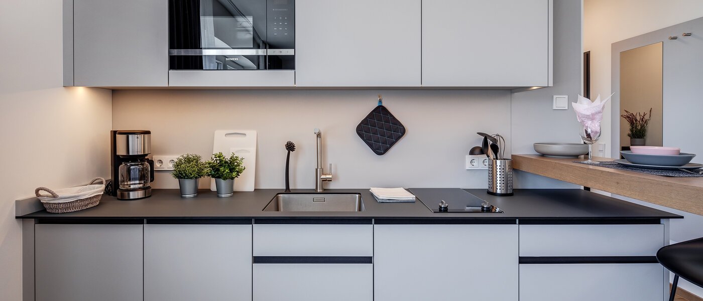 квартира Eching 01 кухня 11666