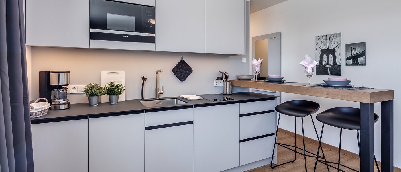 квартира Eching 02 кухня 11666