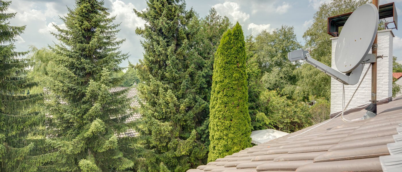 мансардная квартира Feldafing Tutzing 03 вид из окна 11697