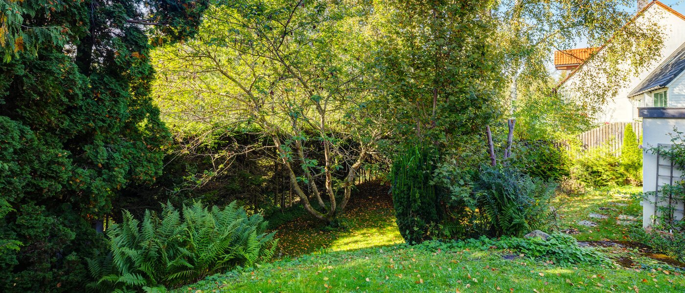 квартира с садом Feldafing 02 сад 11698