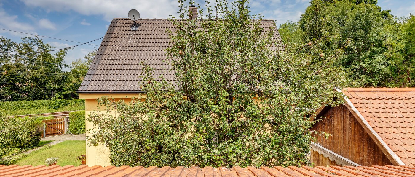 Особняк München Fasanerie 02 вид из окна 11740