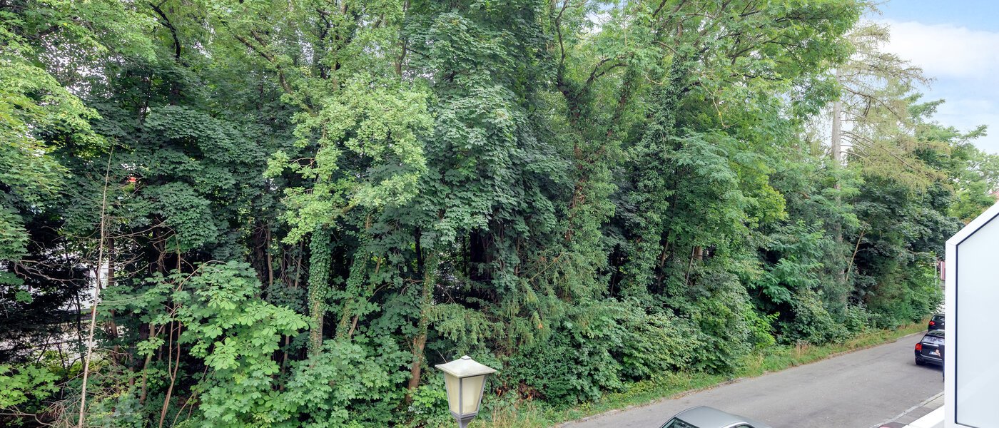 квартира München Solln 02 вид из окна 11783