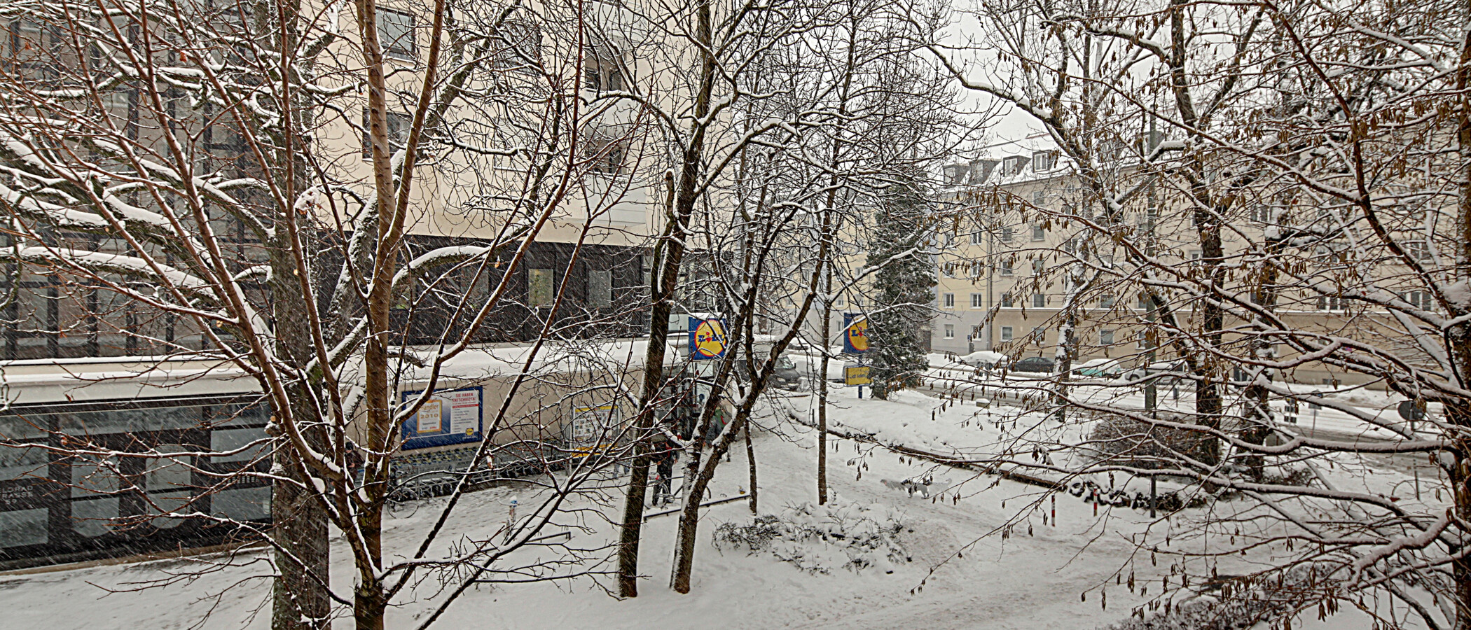 квартира München Schwabing (links der Leopoldstraße) 03 вид из окна 1191