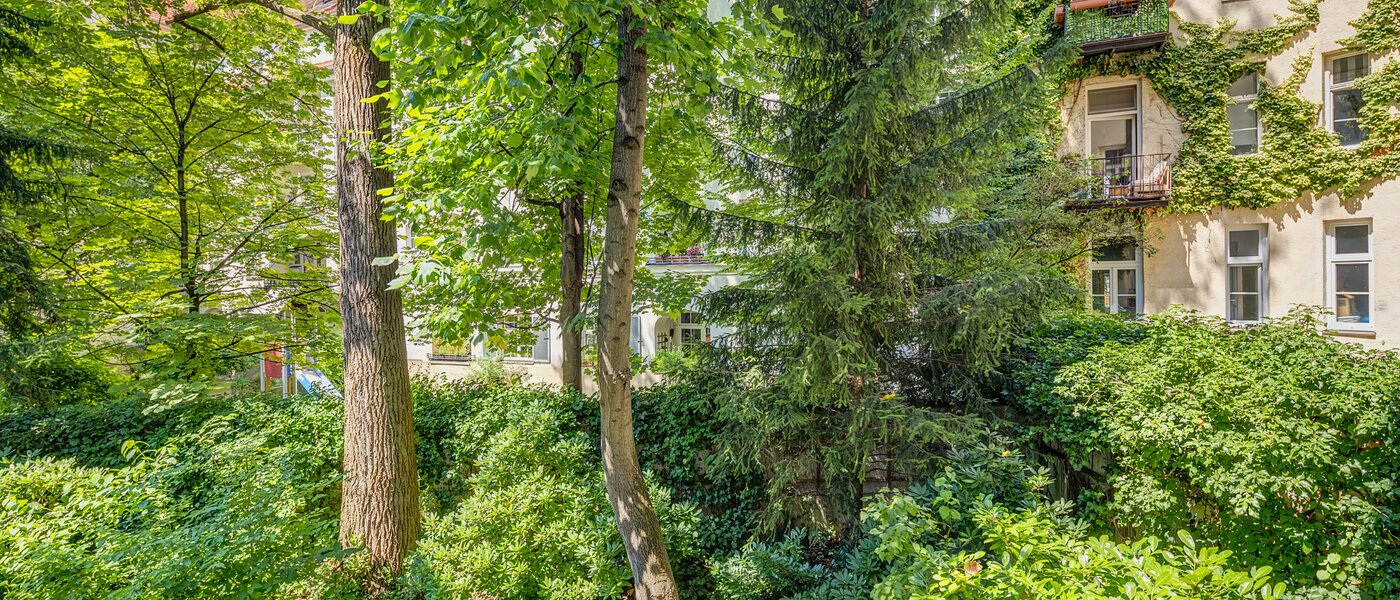 квартира München Bogenhausen 01 вид из окна 1203