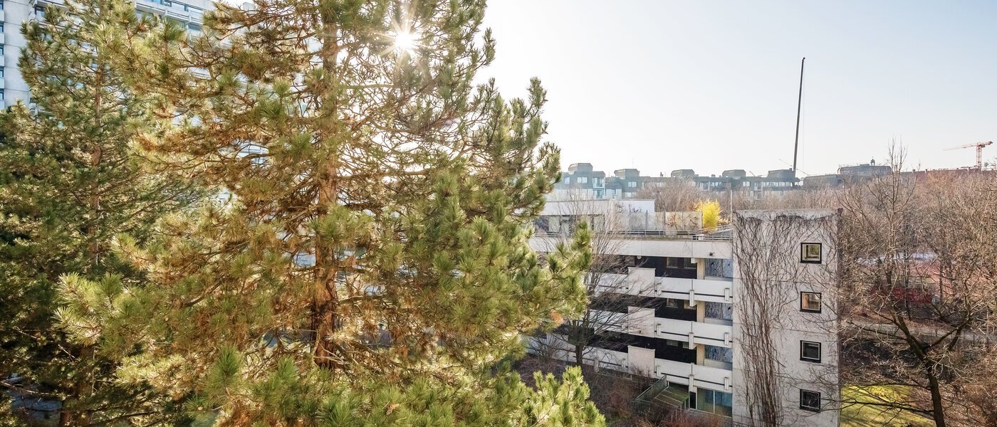 квартира München Haidhausen 01 вид из окна 12031