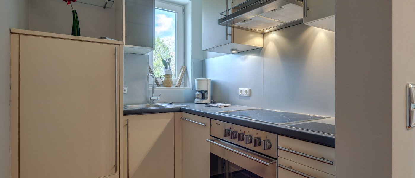 мансардная квартира München Oberföhring 02 кухня 1205