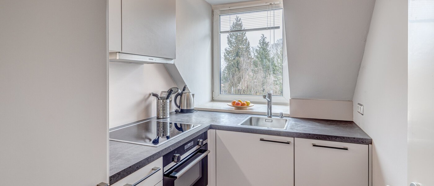 мансардная квартира München Oberföhring 01 кухня 1206