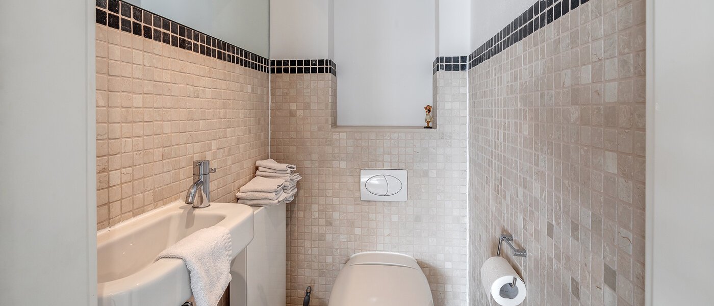 двухэтажная квартира München Ludwigsvorstadt 01 гостевой туалет 12126