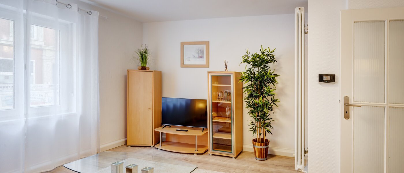 квартира München Maxvorstadt - Museumsviertel 02 гостиная 1215