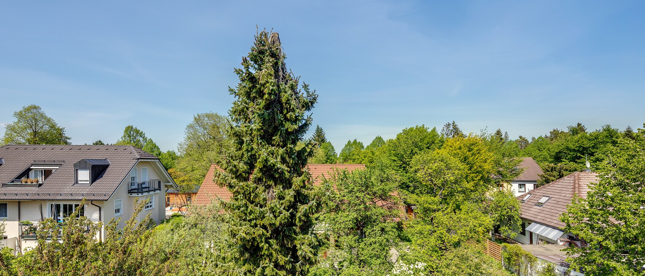 мансардная квартира München Waldperlach 04 вид из окна 12208