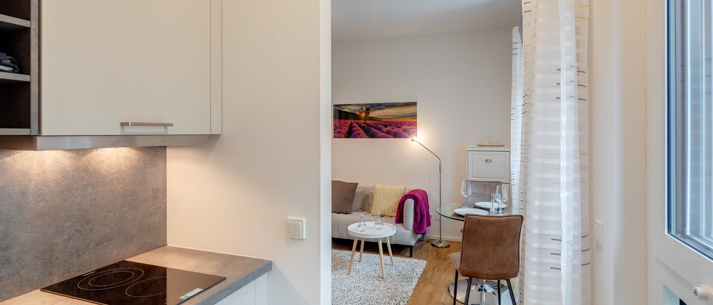 квартира München Haidhausen 03 кухня 12259