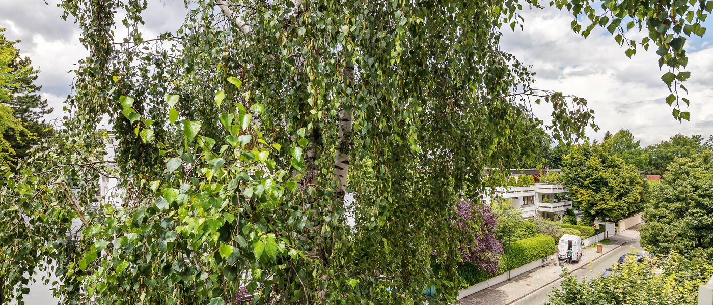 квартира München Herzogpark 03 вид из окна 12265
