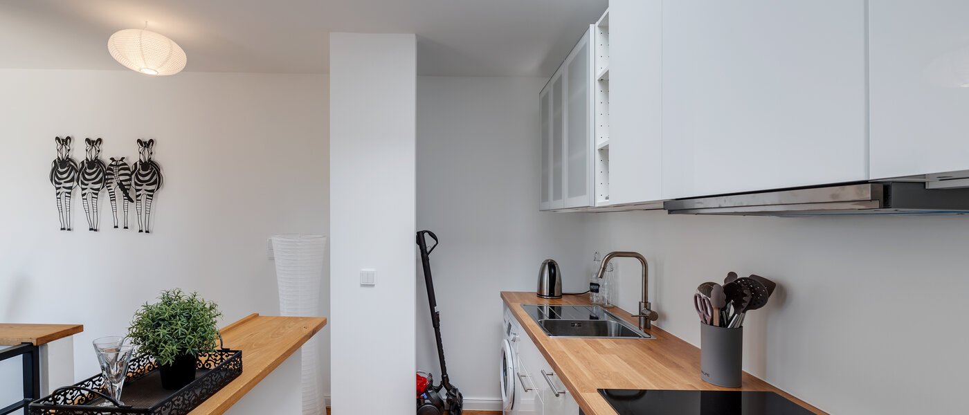 двухэтажная квартира München Moosach 04 кухня 12293