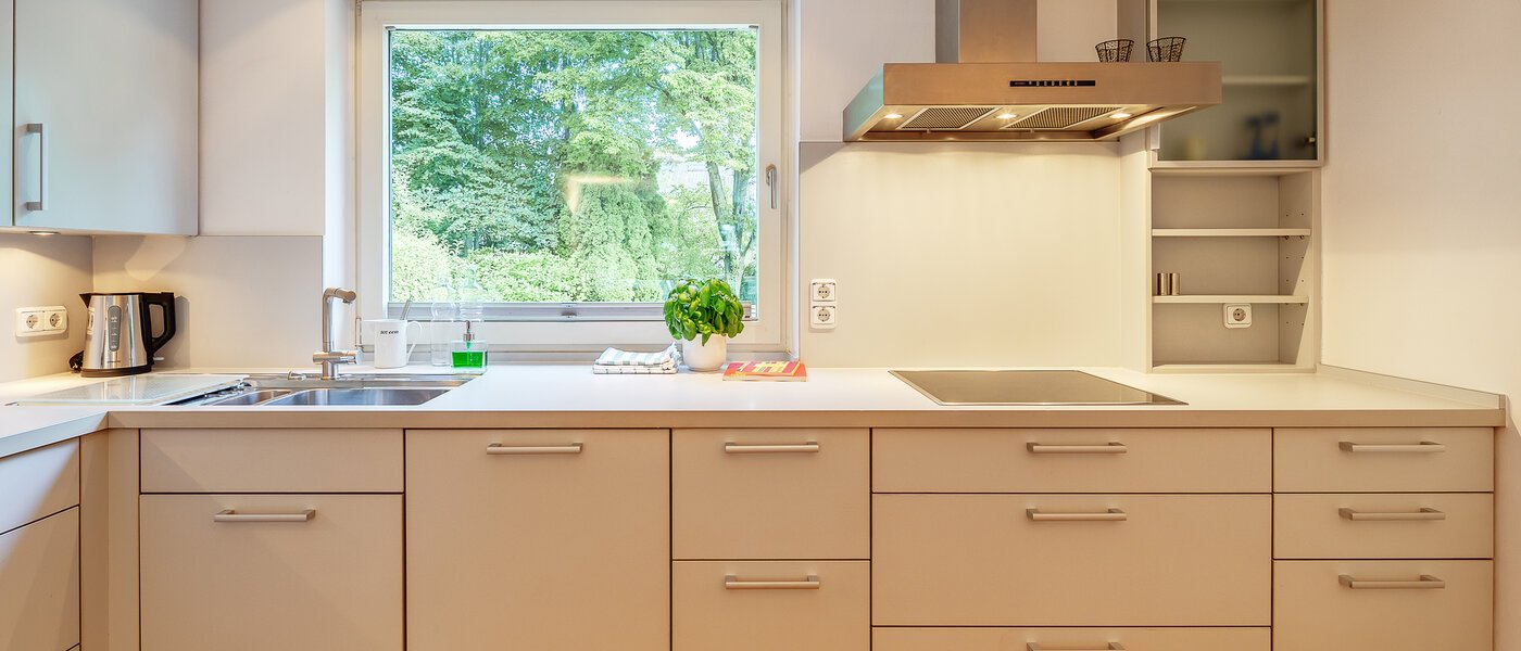 двухэтажная квартира München Cosimapark 02 кухня 12301