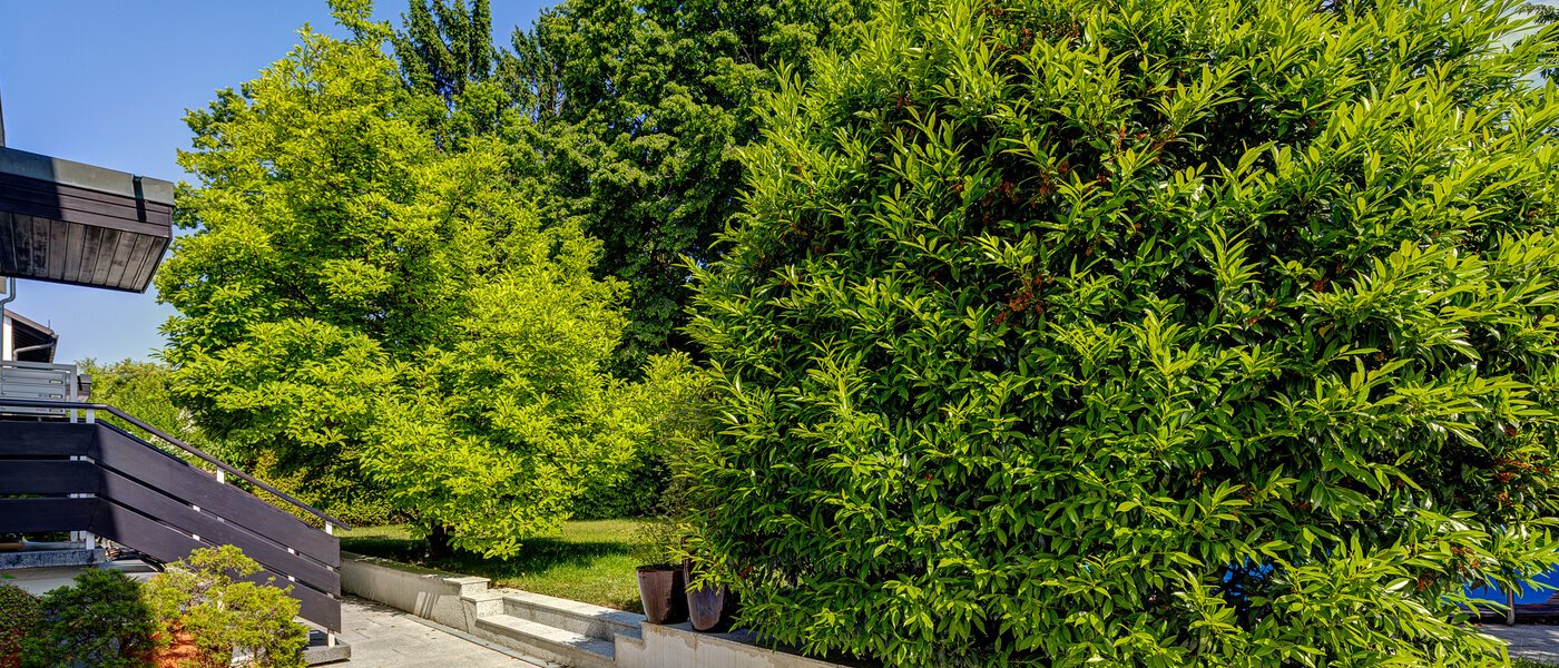 двухэтажная квартира München Cosimapark 06 общее помещение 12301