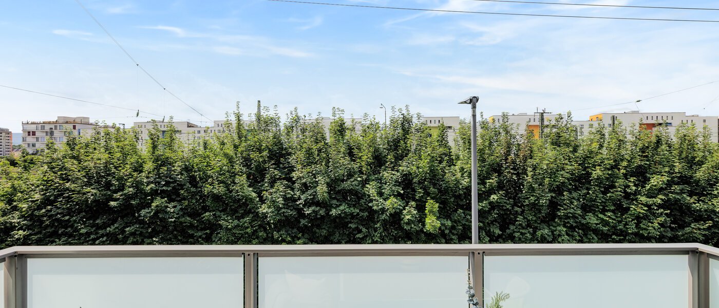 квартира München Pasing 01 вид из окна 12332