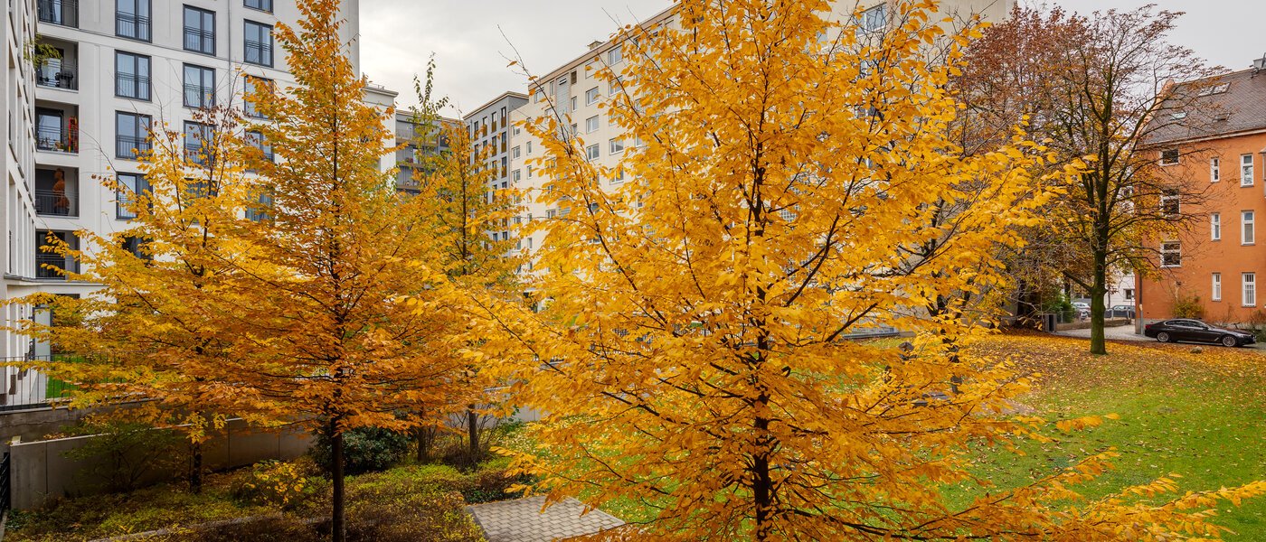 квартира München Bogenhausen 01 вид из окна 12389