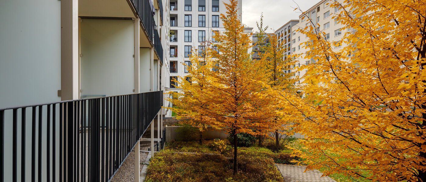 квартира München Bogenhausen 02 вид из окна 12389