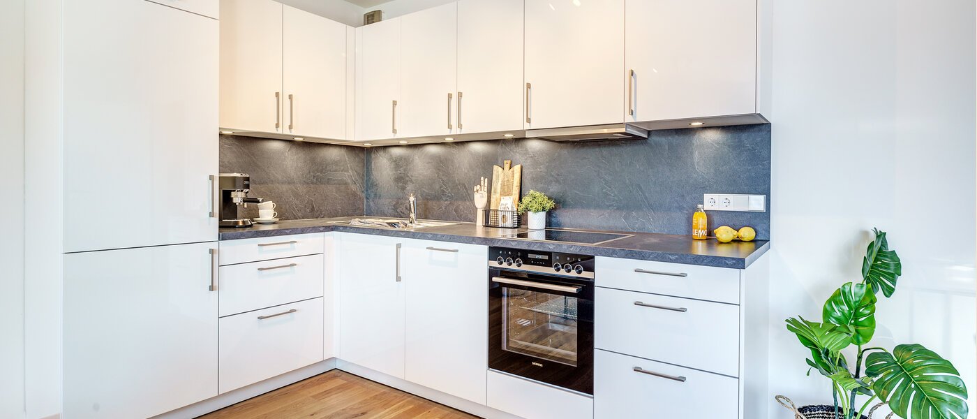 квартира München Au 01 кухня 12517