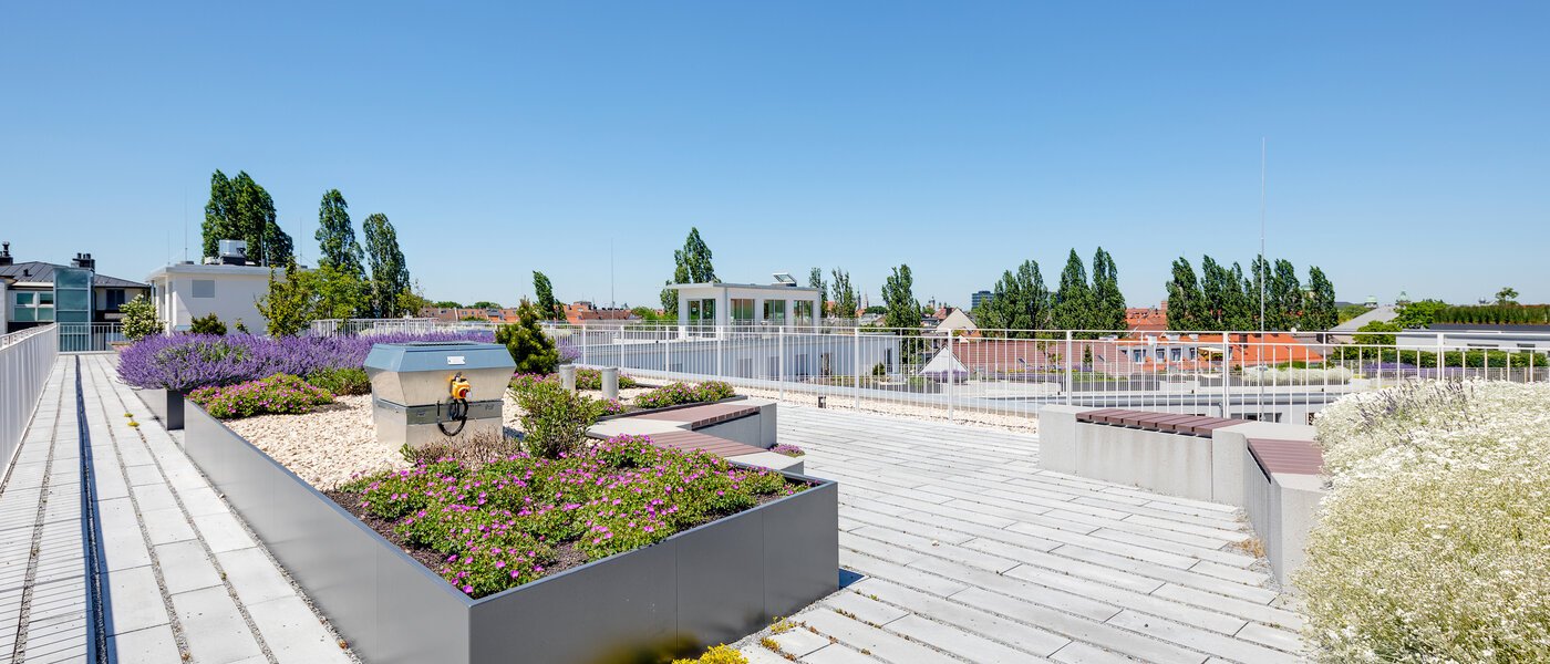 квартира München Au 03 общее помещение 12517