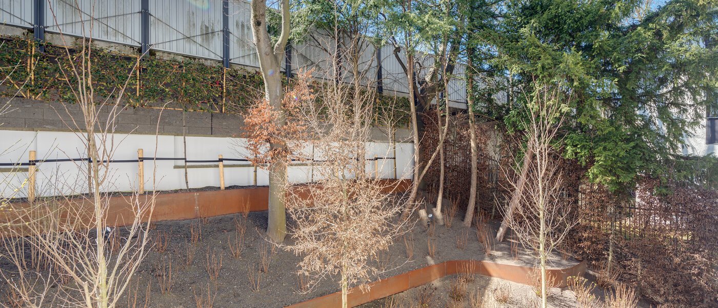 двухэтажная квартира-галерея München Herzogpark 01 вид из окна 12522