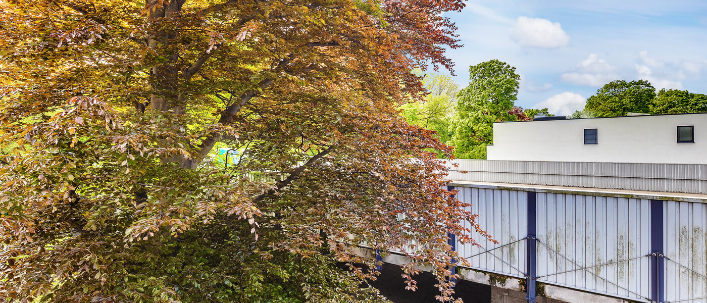 квартира München Herzogpark 01 вид из окна 12567