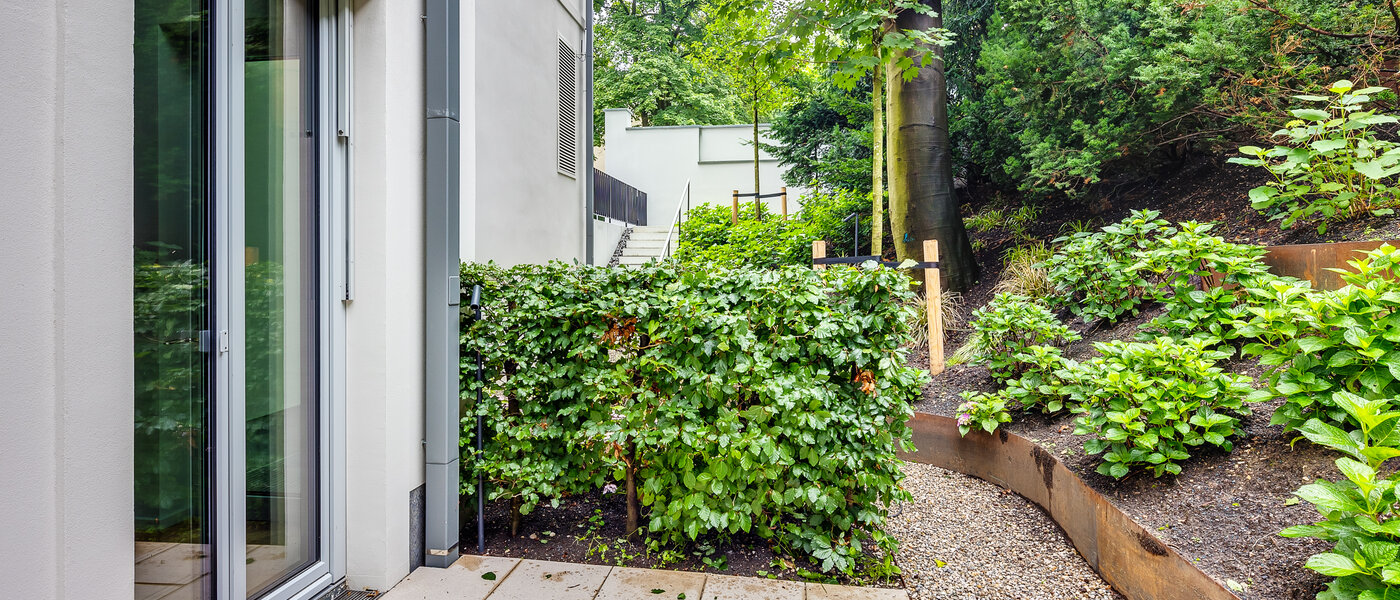 двухэтажная квартира-галерея München Herzogpark 03 терраса 12611