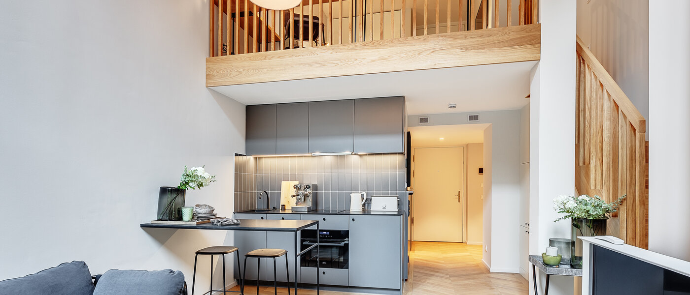 двухэтажная квартира-галерея München Herzogpark 02 жилое пространство 12611