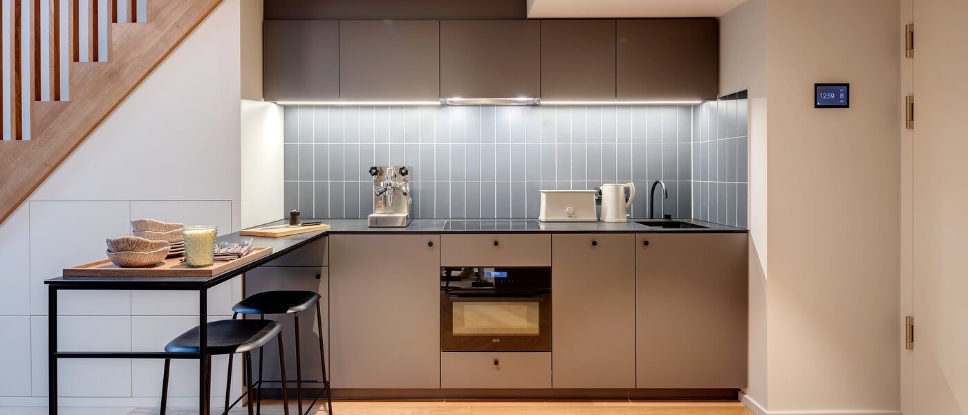 двухэтажная квартира-галерея München Herzogpark 01 кухня 12615
