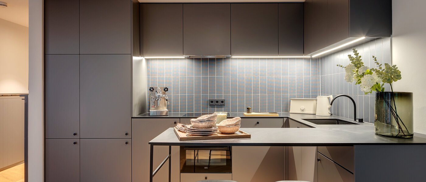 двухэтажная квартира-галерея München Herzogpark 01 кухня 12616