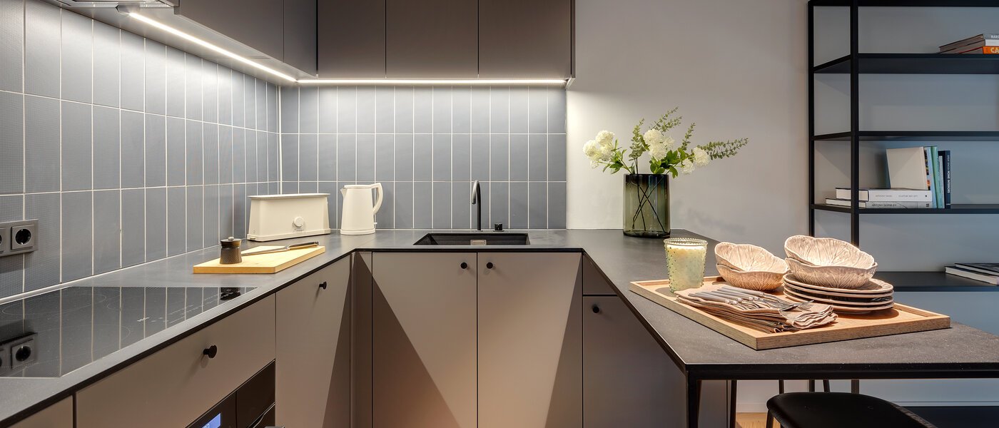 двухэтажная квартира-галерея München Herzogpark 02 кухня 12616