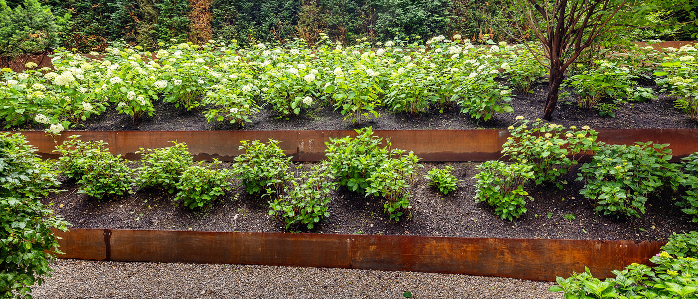 двухэтажная квартира-галерея München Herzogpark 02 терраса 12618