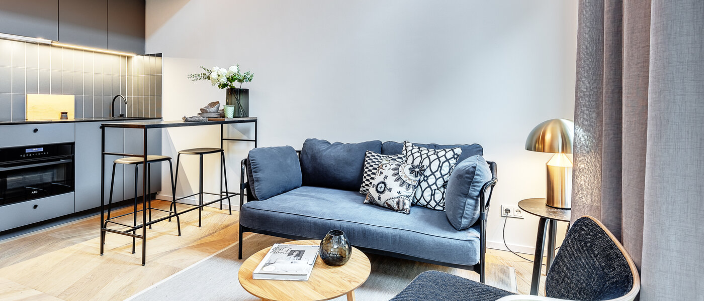 двухэтажная квартира-галерея München Herzogpark 03 жилое пространство 12618