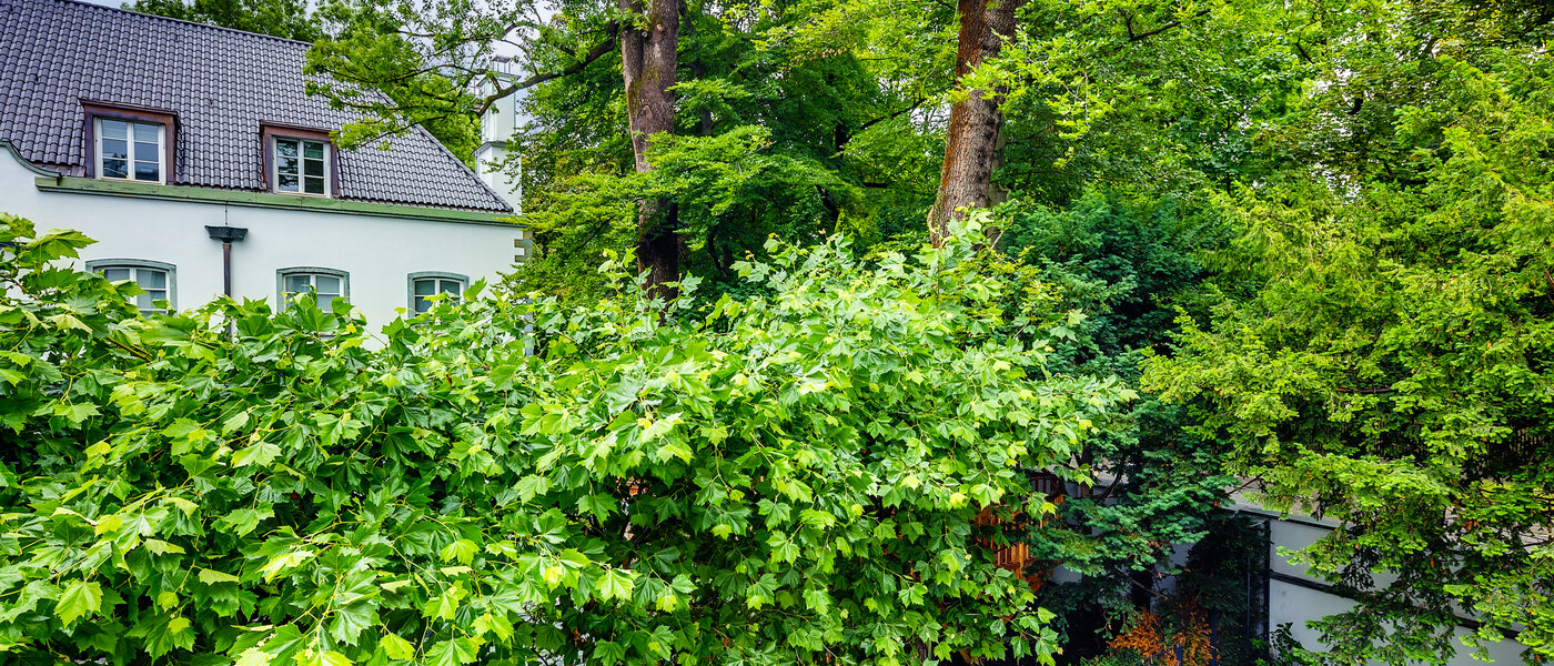 квартира München Herzogpark 01 вид из окна 12619