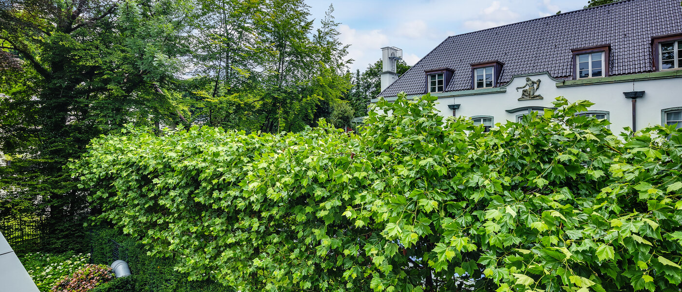 квартира München Herzogpark 02 вид из окна 12619