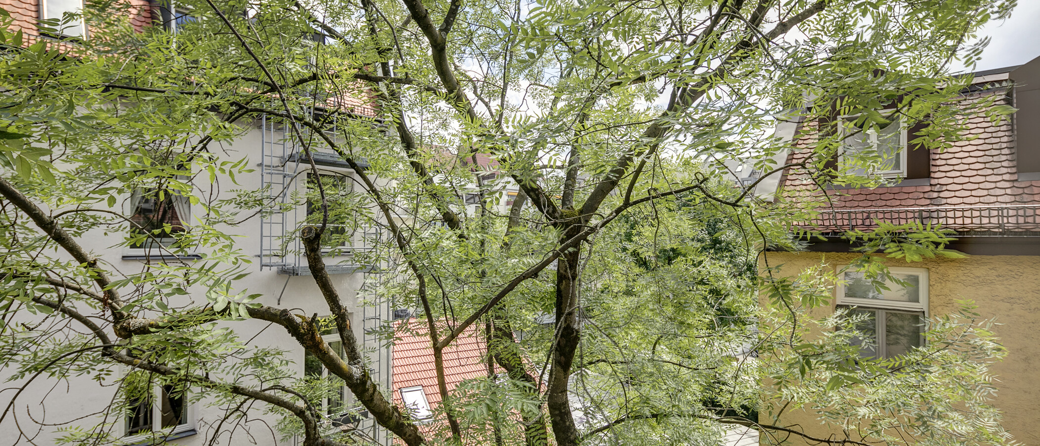 квартира München Schwabing (links der Leopoldstraße) 01 вид из окна 1262