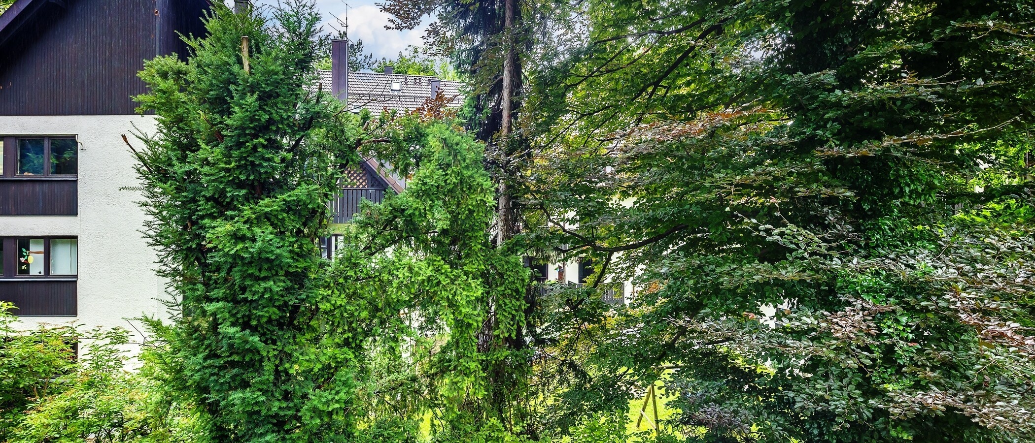 квартира München Herzogpark 02 вид из окна 12620
