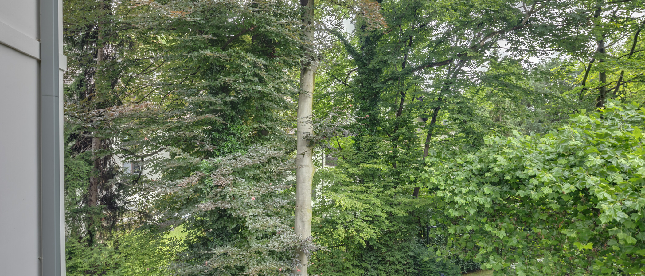 квартира München Herzogpark 03 вид из окна 12620