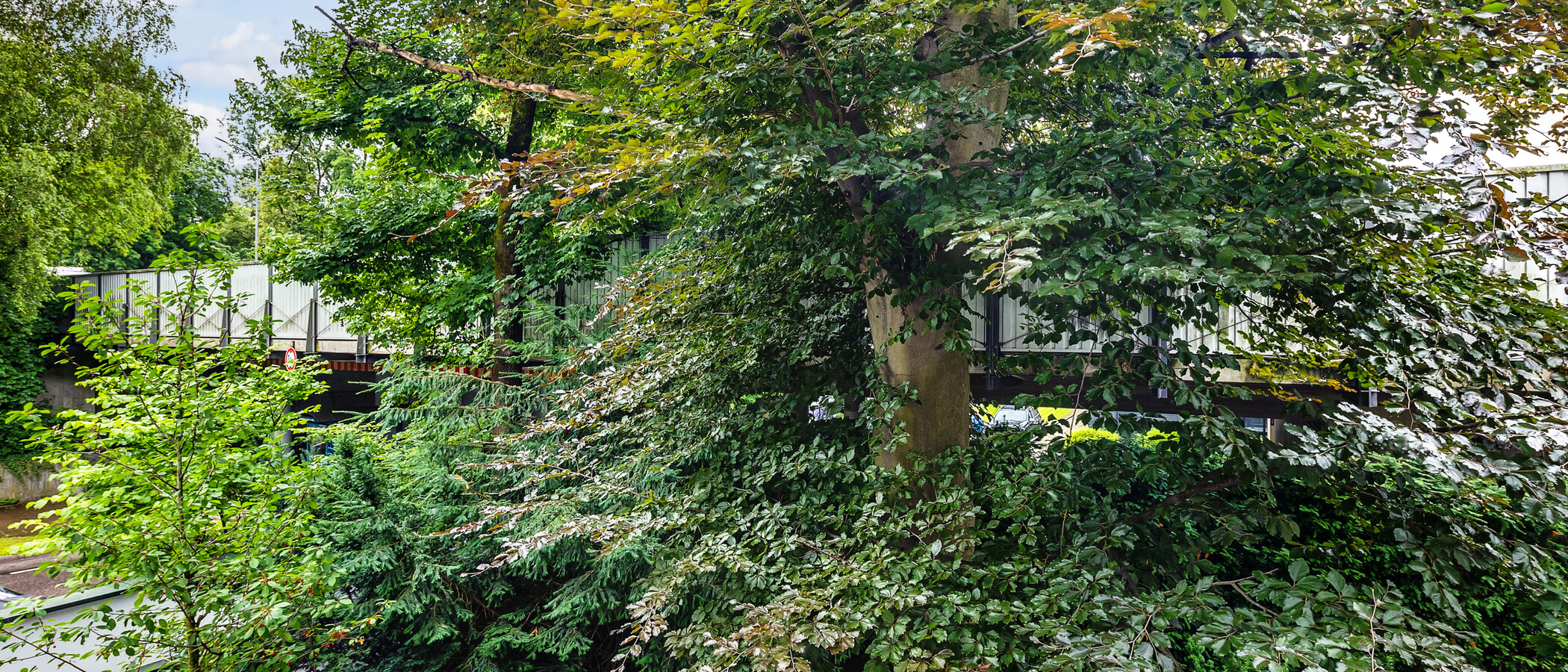 квартира München Herzogpark 04 вид из окна 12628