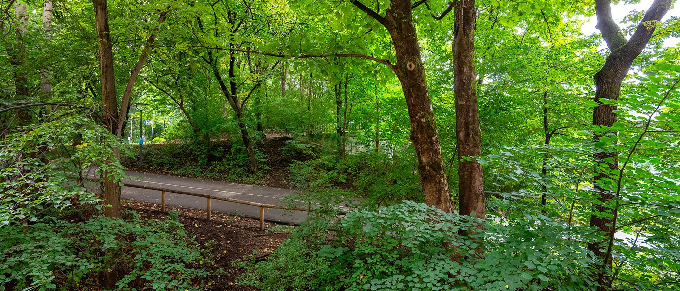 квартира München Thalkirchen 01 вид из окна 12695