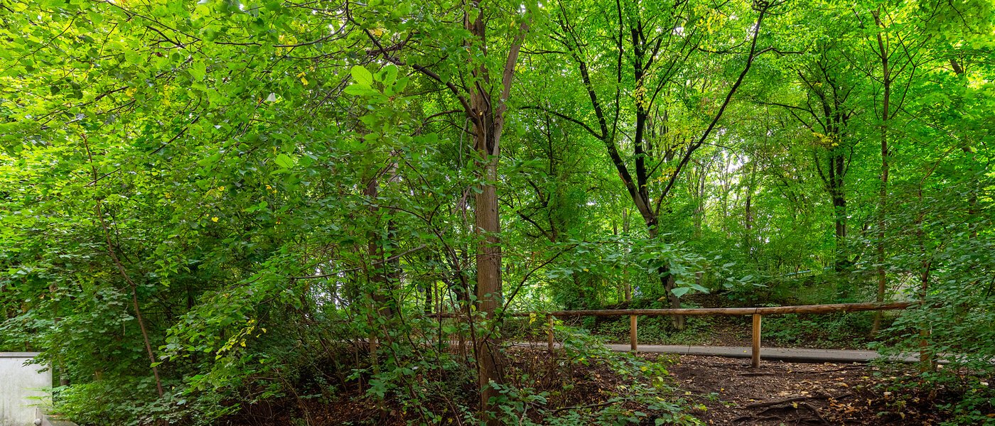 квартира München Thalkirchen 02 вид из окна 12695